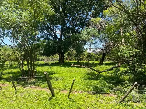Terreno en Venta 26  mts Frente