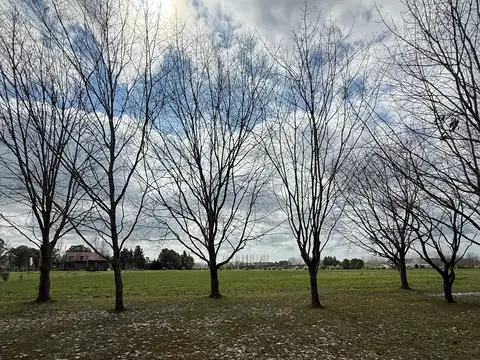 Terreno en Venta 33  mts Frente