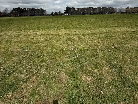 Venta - Terreno - Barrio La Macarena - Exaltacion de la Cruz
