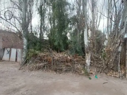 Terreno en Venta 50  mts Fondo
