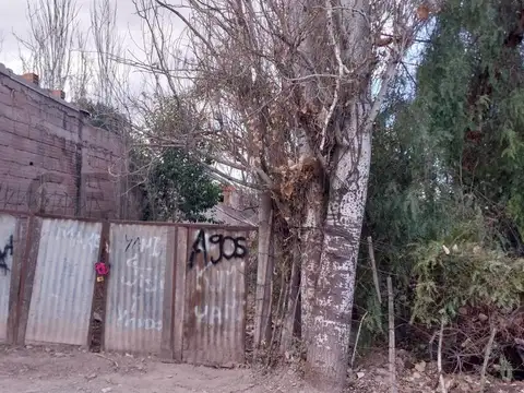 Terreno en Venta 11  mts Frente