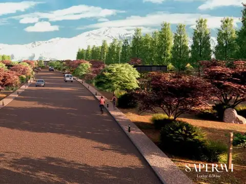 Bodega Saperavi Hotel Boutique- Valle de Uco, Mendoza