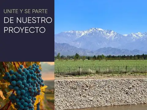 Hotel Boutique en Valle de Uco- Amenities y Seguridad
