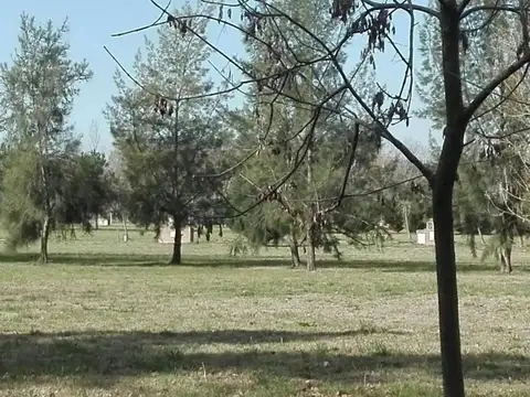 Terreno en Venta de 1045,0 m2