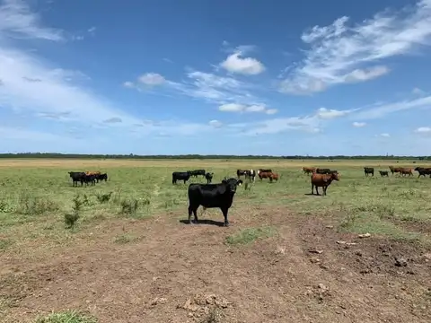 Casa en Venta en Lima, USD 1.250.000