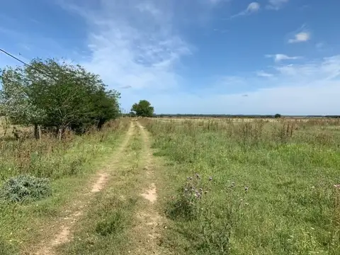 Campo 180 hectáreas en Venta en Lima, Zárate, G.B.A. Zona Norte