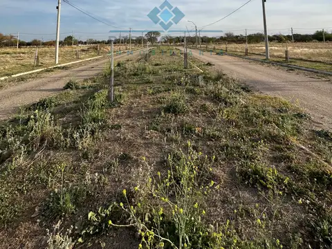 VENTA-LOTE EN LOS ALGARROBOS-SINSACATE