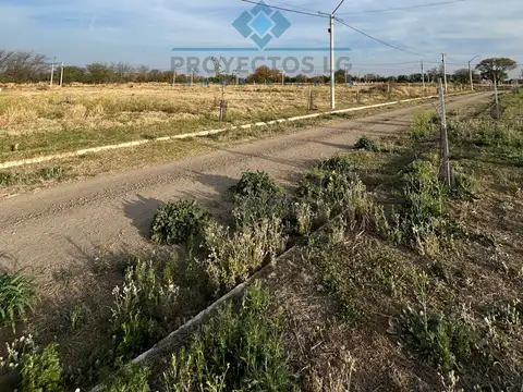 VENTA-LOTE EN LOS ALGARROBOS-SINSACATE