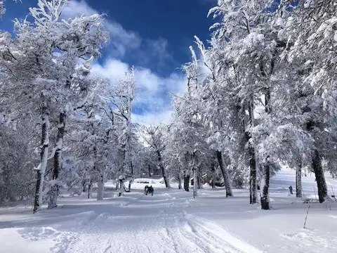 Ruta 19, acceso cerro Chapelco  PB A  M8