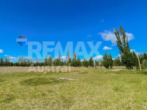 VENTA CHACRA DE CASI 3 HECTAREAS EN SARMIENTO