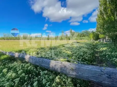 VENTA CHACRA DE CASI 3 HECTAREAS EN SARMIENTO