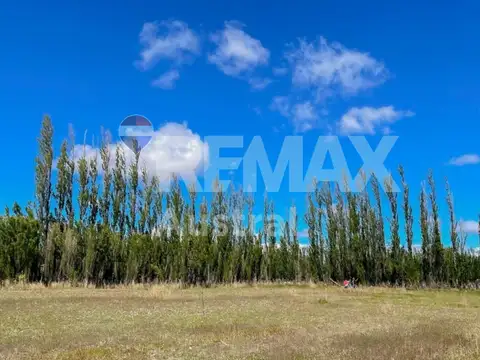 VENTA CHACRA DE CASI 3 HECTAREAS EN SARMIENTO