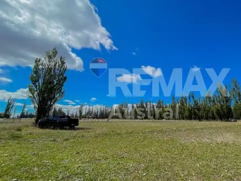 VENTA CHACRA DE CASI 3 HECTAREAS EN SARMIENTO
