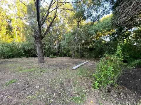 arroyo arroyon , Piso 0