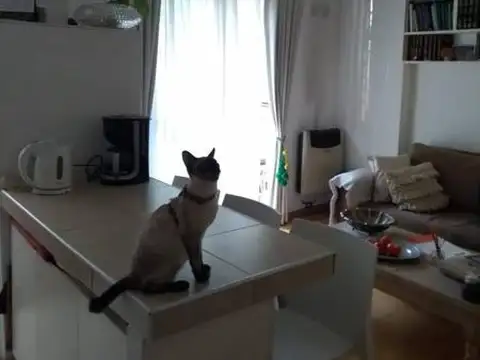 Departamento 3 ambientes con 1 baño