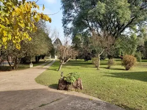 Paris 3101