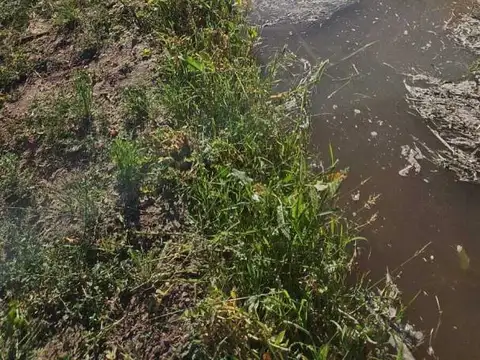 DE LOS CORREA , Piso 0