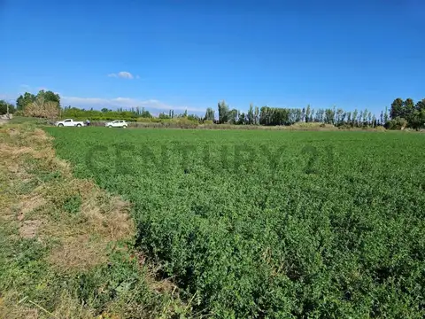 Campo en Venta de 2  ha