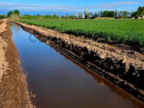 Campo en Venta de 2  ha