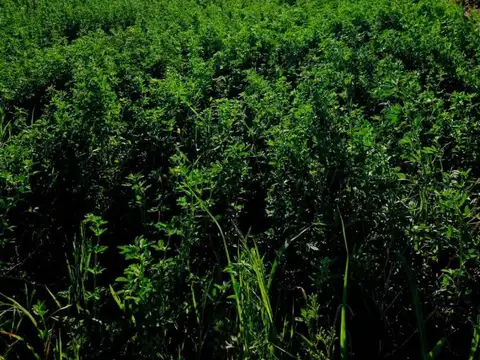 VENTA DE FINCA EN LA VALLE
