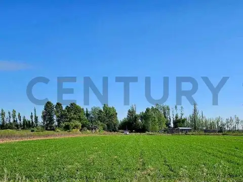 VENTA DE FINCA EN LA VALLE