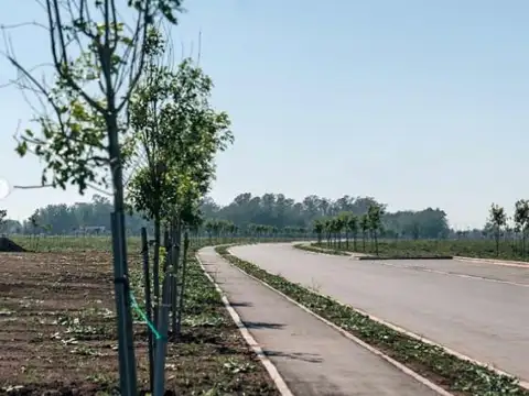 Avenida Fuerza Aérea  al 5100