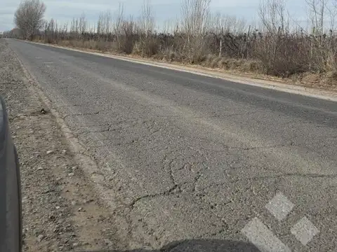 Alquiler de 1 Hectárea con frente de ruta, Añelo