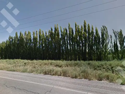 Alquiler de 1 Hectárea con frente de ruta, Añelo