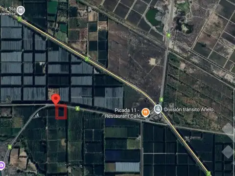 Alquiler de 1 Hectárea con frente de ruta, Añelo
