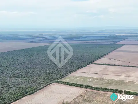 Campo en venta de 550 ha ubicado en Embarcacion - Salta