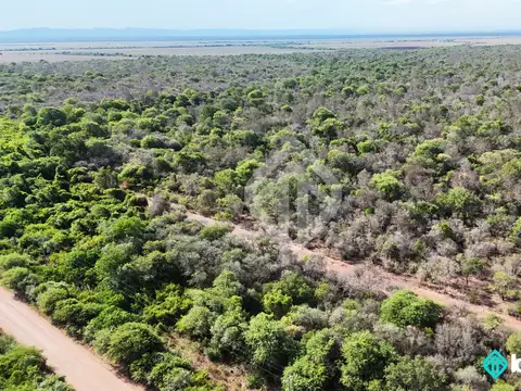 Campo en venta de 550 ha ubicado en Embarcacion - Salta