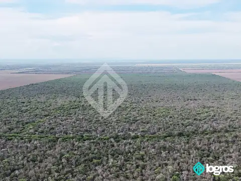 Campo en venta de 550 ha ubicado en Embarcacion - Salta