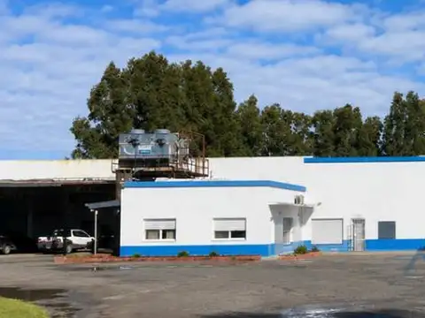 Venta Planta Frigorífica Exportadora Ciclo I (Habilitada UE/EE.UU./China) en Pehuajó