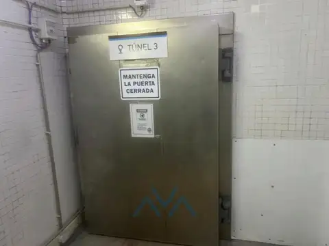 Planta frigorífica exportadora habilitada UE/EE.UU./China en Pehuajó