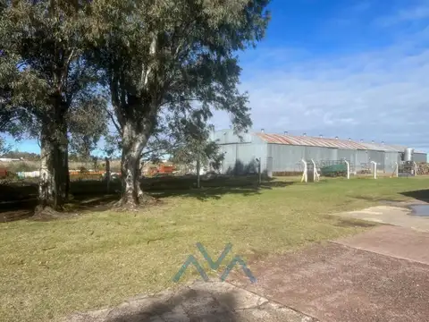 Fondo Comercio en Venta en Pehuajo, USD 3.800.000