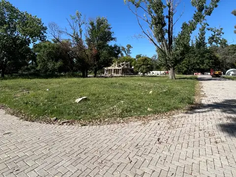 Luis Maria Drago 3150 100