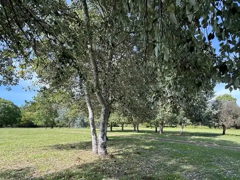 Terreno en Venta en Altos de Los Cardale, USD 39.000