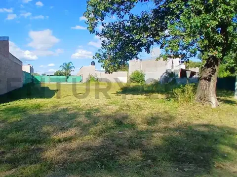 Dorado del Paraná y el Zorzal , Piso 0