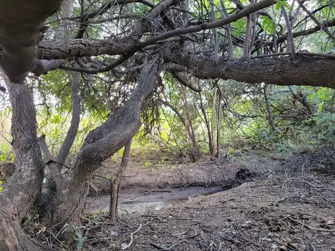 Terreno en Venta de 10000,0 m2