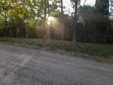 Francisco Domingo Guisolfo y calle sin nombre