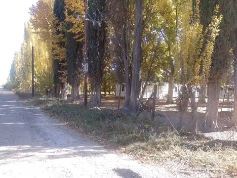 CHACRA EN VENTA EN ALLEN- 6 ha sin producción