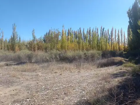 CHACRA EN VENTA EN ALLEN- 6 ha sin producción