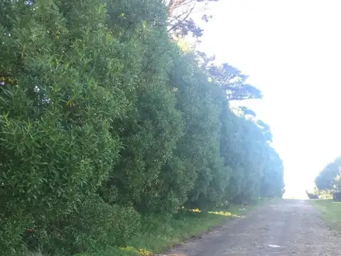 Casa quinta en excelente entorno