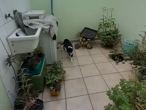 Depto Tipo Casa en Venta 20 años