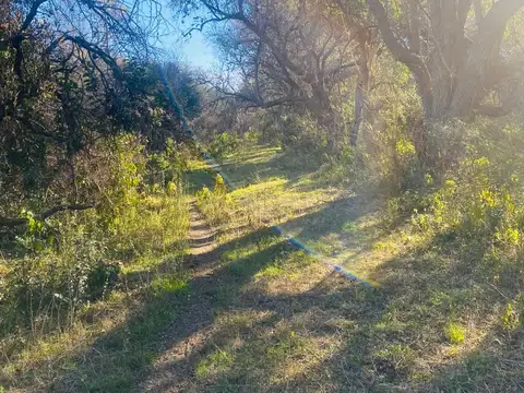 Hermosos terrenos a la venta en Villa de las rosas