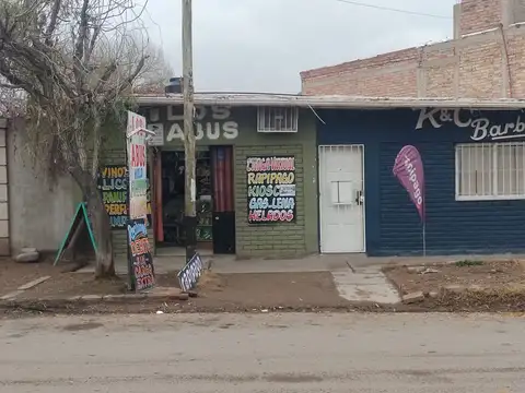 Teresa O'connor Manzana A 100