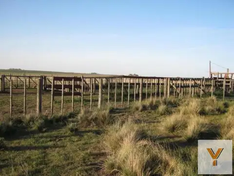 Camino Cura Malal