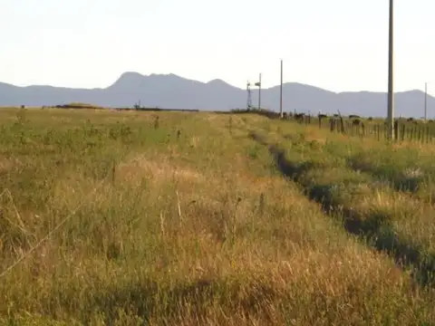 Campo en venta - 5.300.000Mts2 - Arroyo Corto