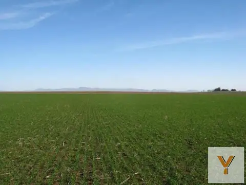 Campo en venta - 5.300.000Mts2 - Arroyo Corto