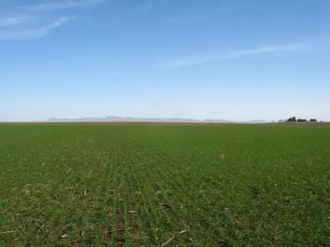 Campo en venta - 5.300.000Mts2 - Arroyo Corto